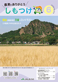 2026年06月 326号