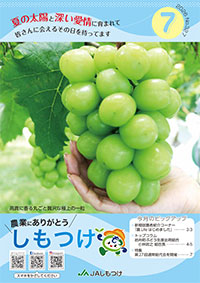 2026年07月 327号