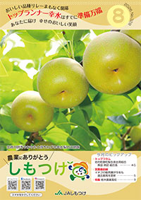 2026年08月 328号