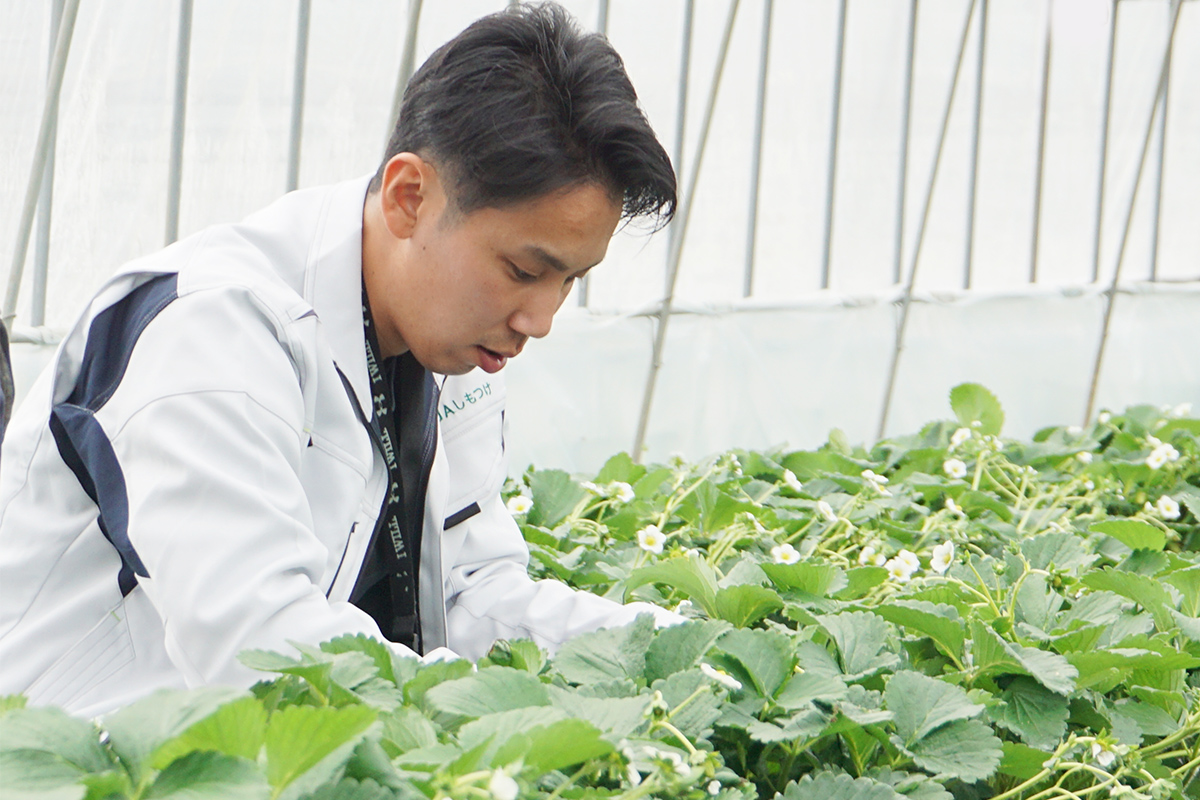 インタビュー写真