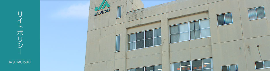 サイトポリシー